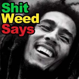 All the shit people say when they've smoked too much weed.
