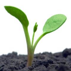 Encouraging and Nurturing Growth through specialist  Web  Design, effective SEO, Social media marketing and Training and development throughout the South West