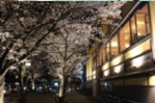 rice_1's profile picture. 人生ゆっくりとした時間で歩んで行きたいです。ソーラー売電と不動産管理をしています。たまにPCの修理などなど。