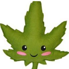 Stay up to date with all the latest marijuana recipes and news.