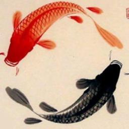 thaulazz's profile picture. Twitter est une jungle... c'est ce qu'on sait faire de mieux...