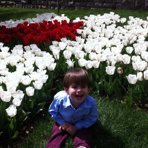 zamaneme's profile picture. 