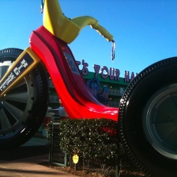 EllenMcV's profile picture. 