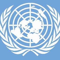 cmunc2013unsc's profile picture. 