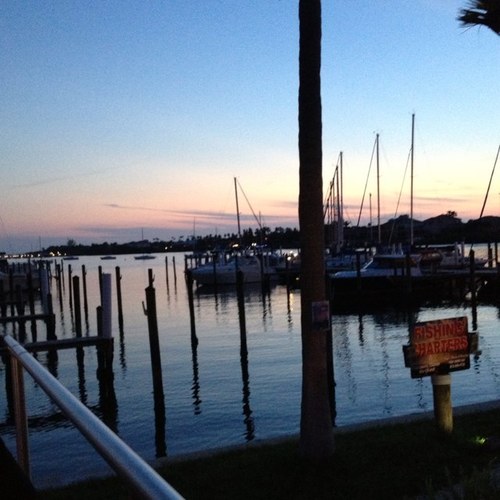 N8tv_Floridian's profile picture. 