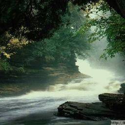 NewLim1's profile picture. 