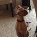 Joe Schenk - @JoeSchenk - Twitter