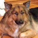 Tim Doyle - @Tim_Doyle_ - Twitter