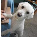 OSCAR CLAVEL - @CLAVEL_OSCAR - Twitter