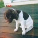 jay web - @Bugeyehunter - Twitter