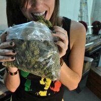 MisterpresidentHaze, (@pipojappie) 's Twitter Profile