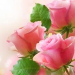 MicheleGauthie1's profile picture. Bonjour, je suis ici pour m'informer, et savoir ce qui se passe sur notre planète, partout dans le monde.