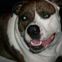 Laura  Lema - @Laura83371429 - Twitter