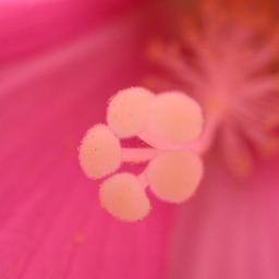 mind68732's profile picture. 