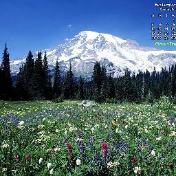 songwon01061's profile picture. 