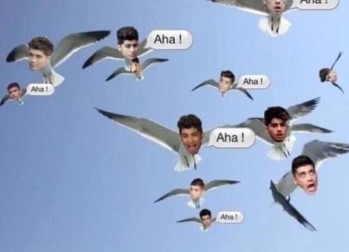 FOLLOW @Fuckedziall