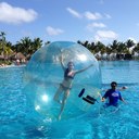 aileen carroll - @aileencarroll17 - Twitter