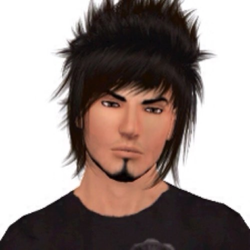 Im the awesomest sim Andrew has ever made!
Real Life:
Im a 13 year old male that watches Andrew deal with it hoe
