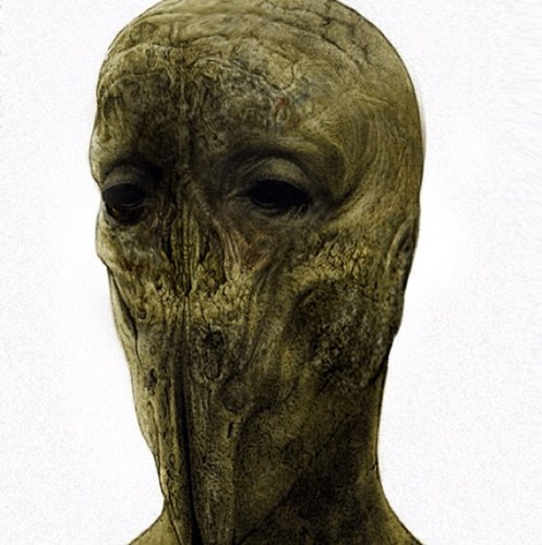 Origin: Unknown 
Location: Unknown 
Faction: Presumed to be Flood 
Threat: True