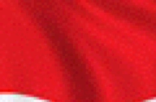 cryptotalks_id's profile picture. 