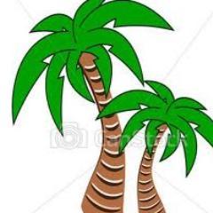 Productor de palmera washingtonia