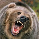 Carlin Carter - @OrignallyRandom - Twitter