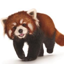 I love #bamboo, #travelling, #soCal, #music, #gadgets & @TELUS. Oh and I should replace the monkey on @ConanObrien's profile pic.
