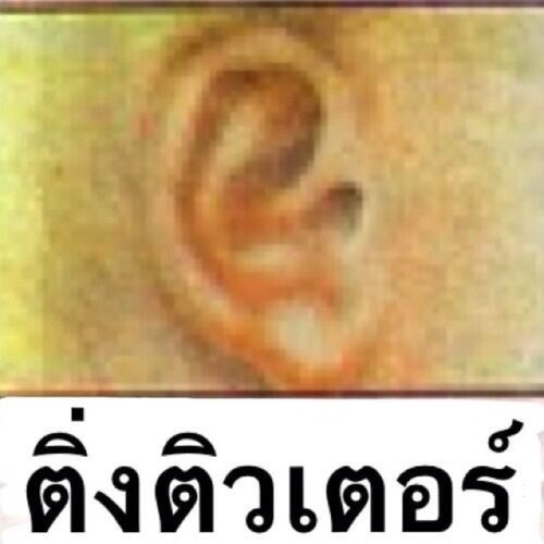 รับสอนภาษาอังกฤษ ญี่ปุ่น จีน เกาหลี อิตาเลี่ยน โดยบัณฑิตอักษรจุฬาฯที่มารวมตัวกันด้วยความรักที่มีให้โอปป้าอยู่เต็มหัวใจ สนใจติดต่อสอบถามกับตัวติวเตอร์ได้เลยค่ะ