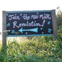 Fen Farm Dairy(@FenFarmDairy) 's Twitter Profile Photo