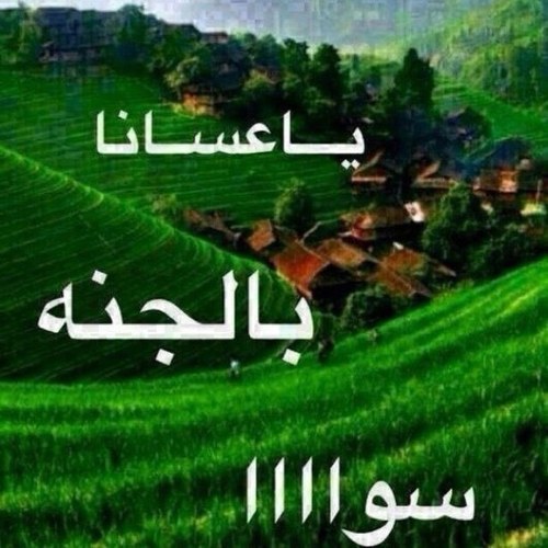 ( كيف احزن وربي معي ) كتاباتي هي مجرد أوقات مزاجية وليست قصة حياتي فتفاصيل حياتي ليست قابلة للطرح هنا وهناك فقط مجرد ذوق أعجبتني وقد تعجب غيري  هناك اقتباسات