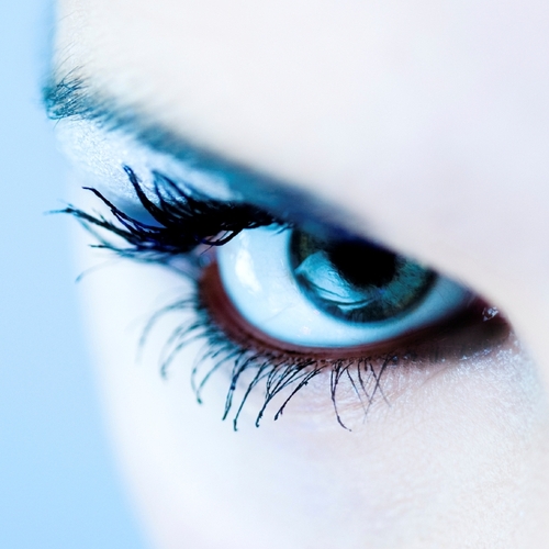 Kroll Security Group is the world leader in Security Consulting, Engineering & Design