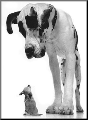 OffleashCoach's profile picture. Embarassed by your dog? Scared of your dog? Call for a Coach