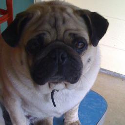 EriCristina76's profile picture. Happy go lucky, chirpy, easy to get along with young woman who just wants to enjoy her life.