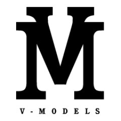 VmodelsNL's profile picture. HOSTING - PROMOTIE - MODELLEN