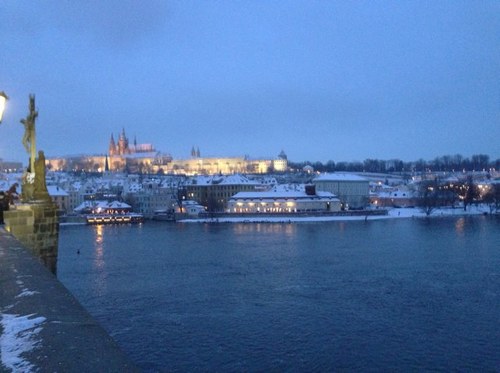 vesuvim1's profile picture. 여백있는 공간을 좋아하는 . .