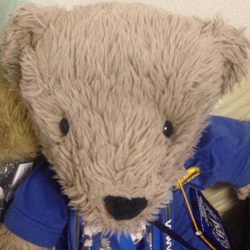 kumakochan1994 Profile Picture