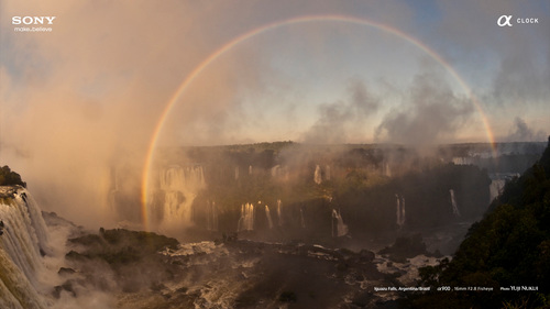 immatc1972's profile picture. 