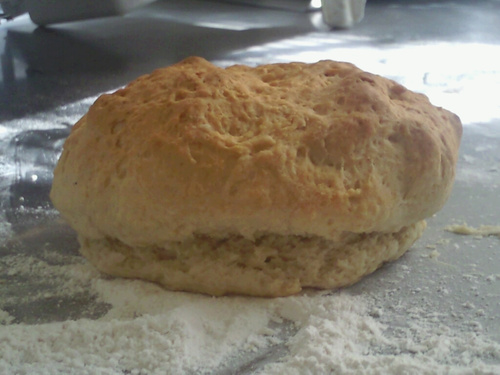 TheLastBiscuit's profile picture. To drunk to drive? To tired to cook? We are NOW DELIVERING Breakfast/lunch/Dinner 24/7 no mini. order to the SAV for Free!    (912)631-4901