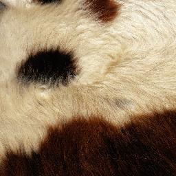 subject05079's profile picture. 