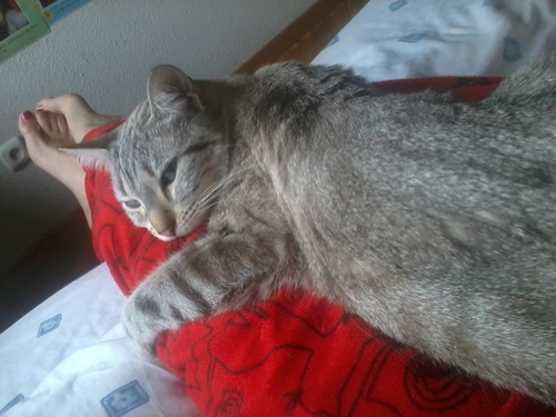 Princesa mora me llamaba...