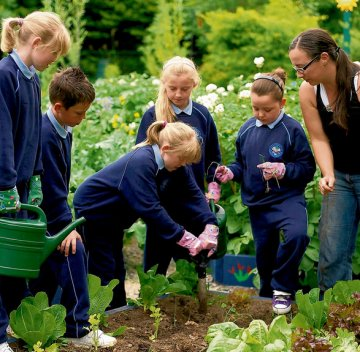 Environmental Educator and Organic Horticulturalist, Head Grower w GIY. Developing gardens in schools and communities. allotment holder and organic grower.
