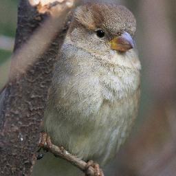 TwLucyOnTheMoon's profile picture. 