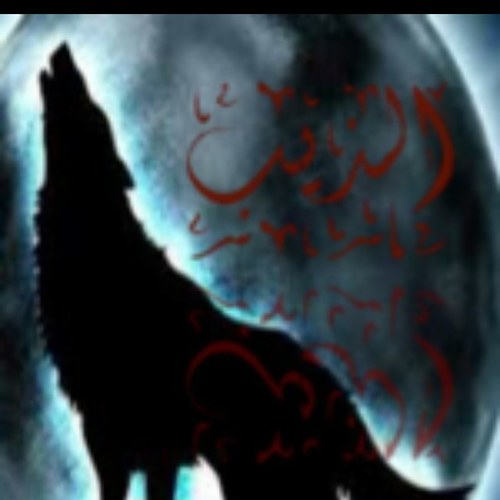 abo3bdalh88 Profile Picture