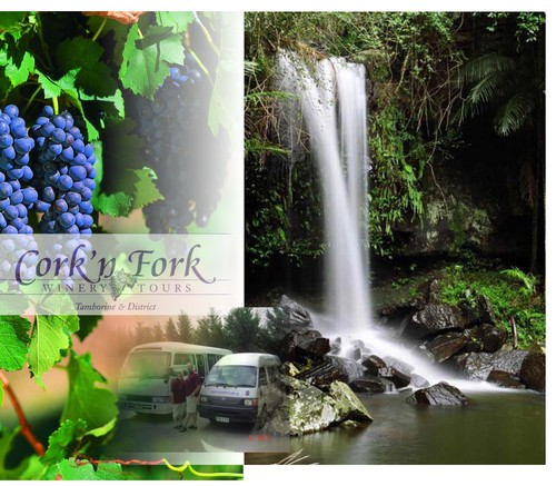 13 years old Cork 'n Fork winery Tours is a great wine tourism business http://t.co/zpKViH5qd6