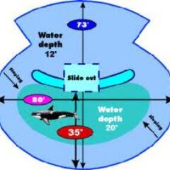 CyG_seaworld's profile picture. campaigning against captivity at seaworld ... and more ...