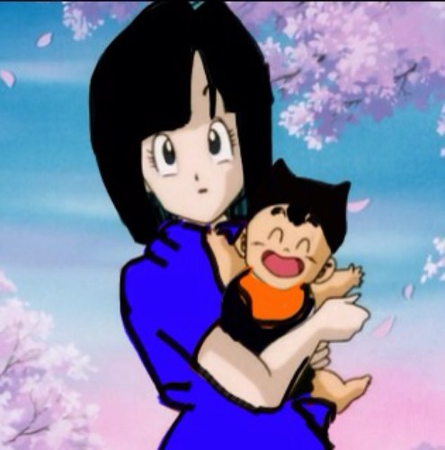 Hi! Paige here! Im married to andriod 17 and have three children: 16, Bass, and 17 jr. Fighting is my life ,  President of Capsule Corp.