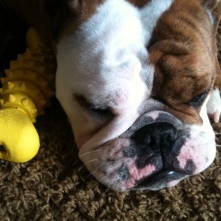 ReneeTimas's profile picture. 