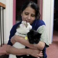 Tweety Tweevari 3399ZBFE Meshchain Ai (@tweevari) 's Twitter Profile