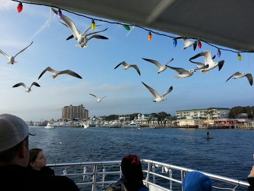 kdigitized's profile picture. 3rd Generation Watch, Clock and Jewelry Repair. BFA Computer Animation @SCAD. Artist, Geek and Entrepreneur.