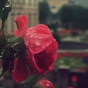عتيقہﮪ الطِراز ☂' (@053_nor) Twitter